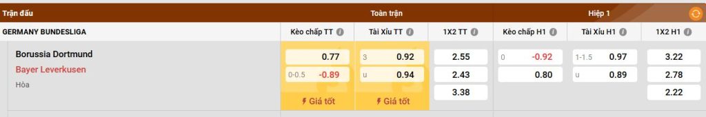 Đối thủ Bayer Leverkusen